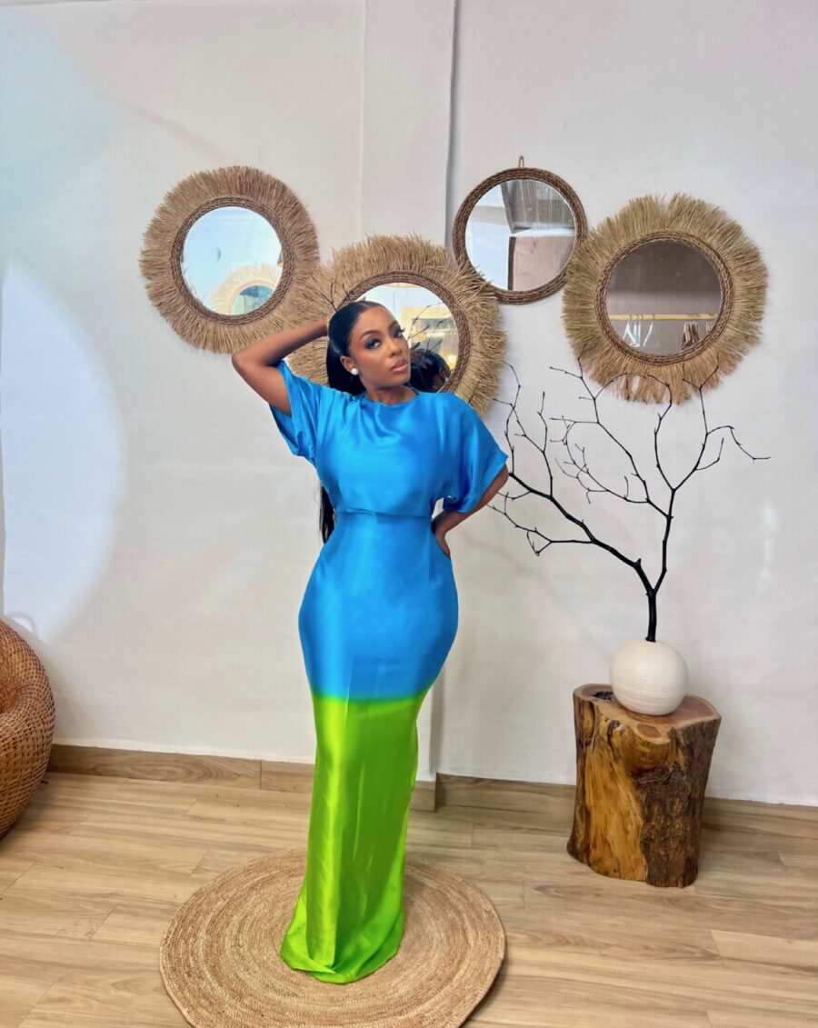 Ombré Dress